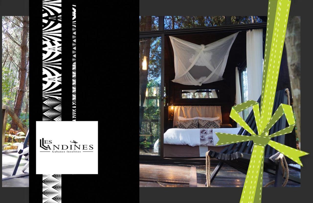Bed and Breakfast Les Landines Origne  Exterior foto