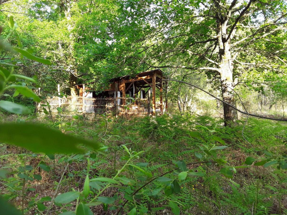 Bed and Breakfast Les Landines Origne  Exterior foto