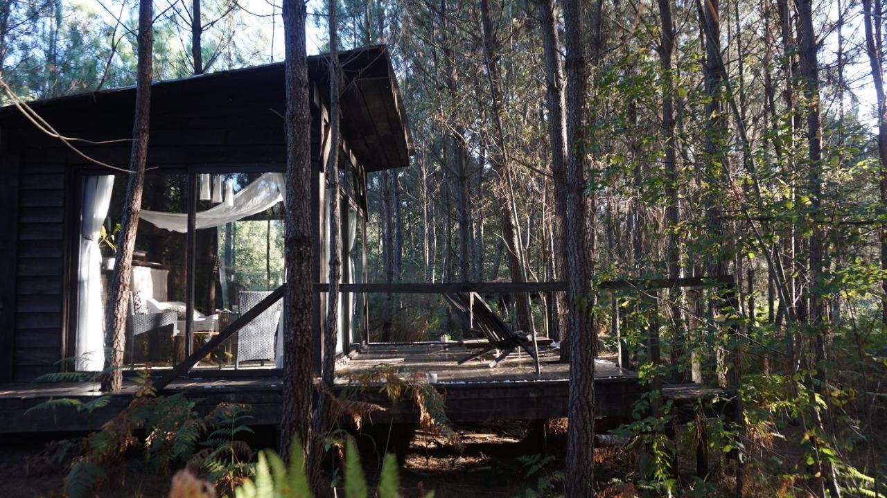 Bed and Breakfast Les Landines Origne  Exterior foto